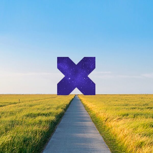 A blue x in the middle of an open field.