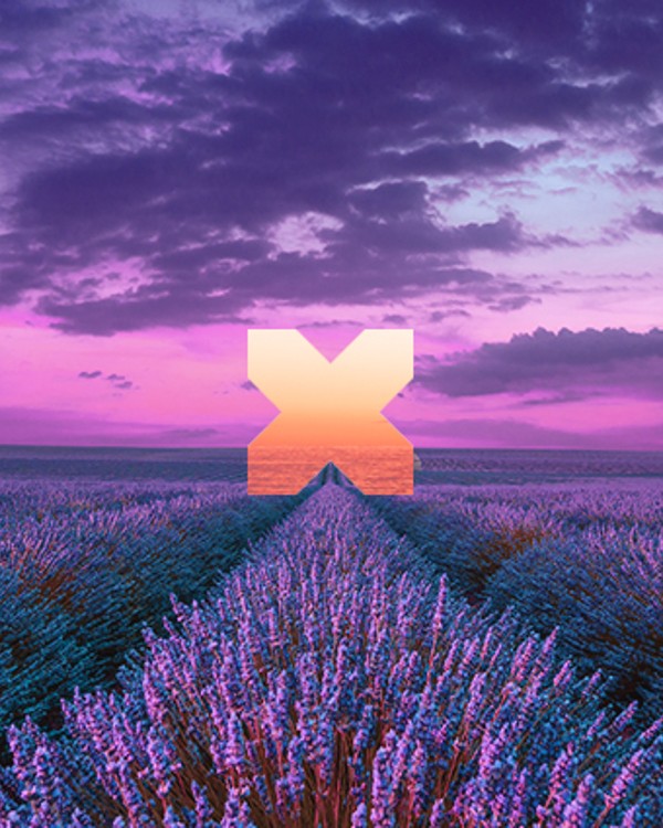 A field of lavender with an x in the middle.