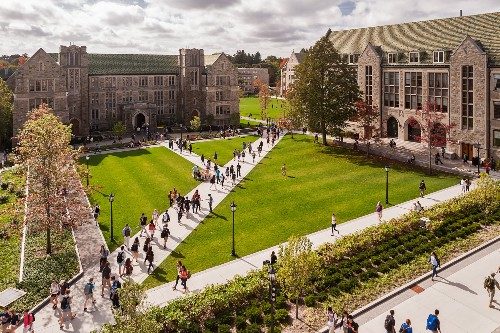 A group of people walking around on the grass.