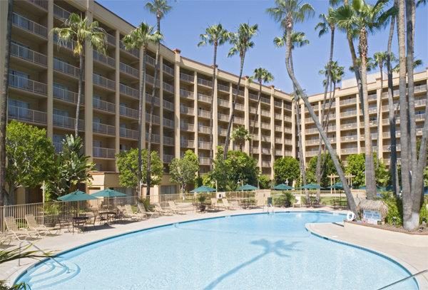 A large pool with palm trees in the background.